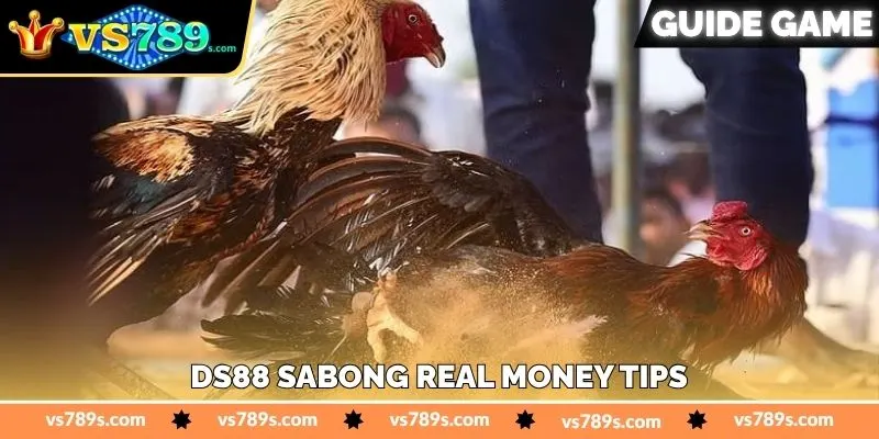 Ds88 Sabong Real Money Tips - জয়ের সহজ টিপস - VS789 9 Ds88 Sabong Real Money Tips - জয়ের সহজ টিপস - VS789