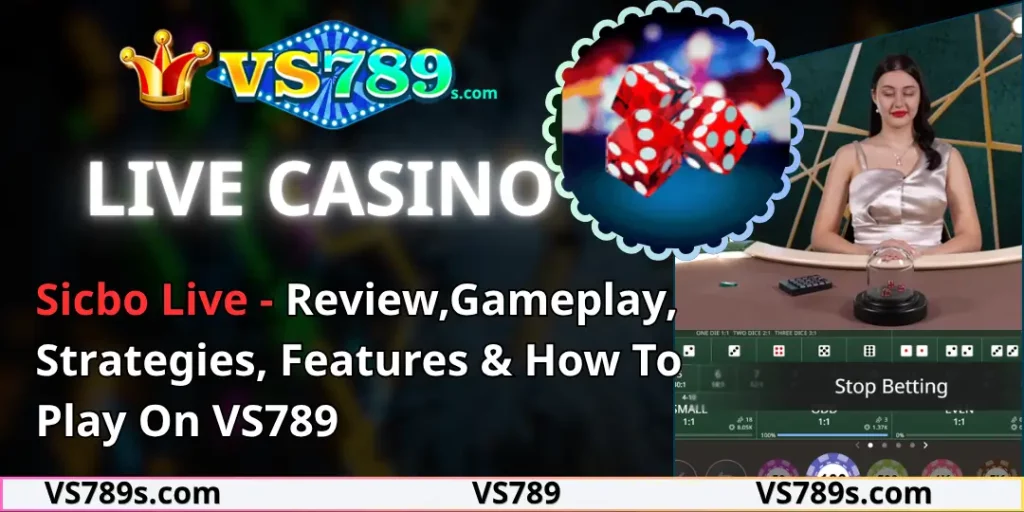 Sicbo Live - Review,Gameplay, Strategies, Features & How To Play On VS789 4 Sicbo Live vs789